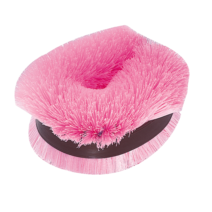 スライド画像