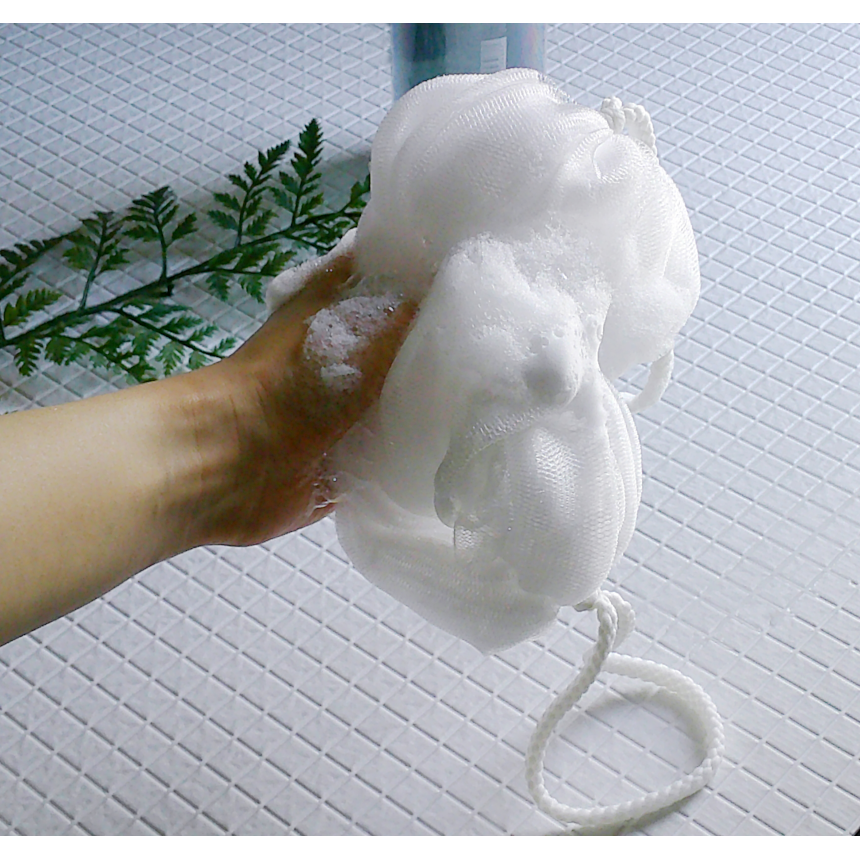 スライド画像