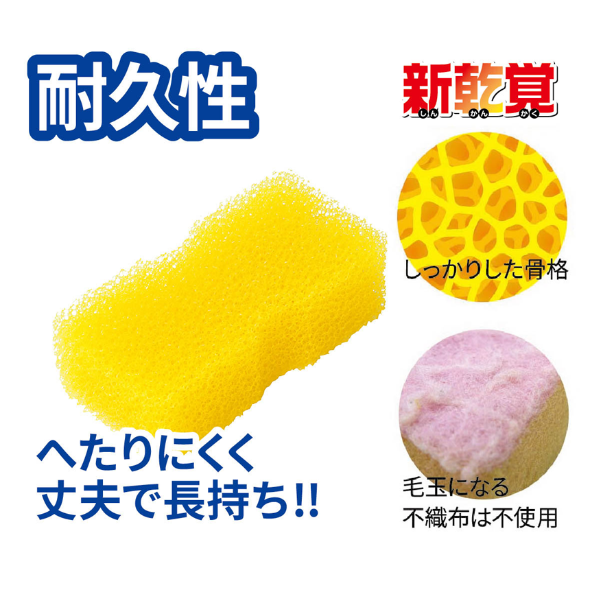 スライド画像