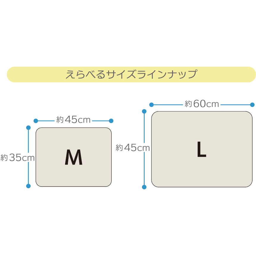 スライド画像